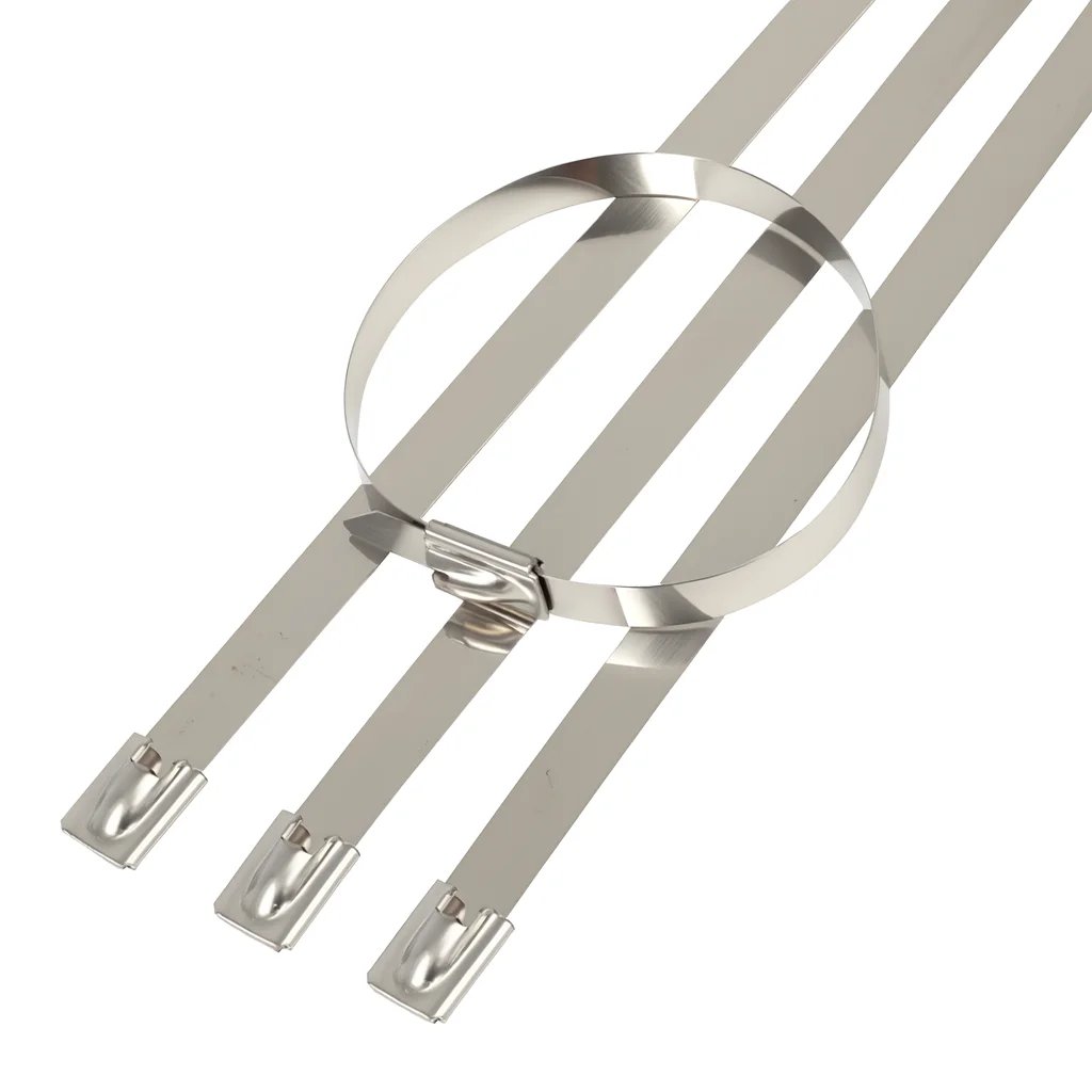 Stainless Steel Cable Ties